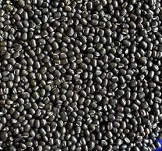 KAPPU UDDINAKALU 250G