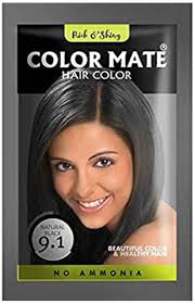 RICH & SHINY COLOR MATE NATURAL BLACK HAIR COLOR