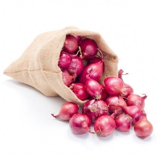 ONION 4 KG 100RS